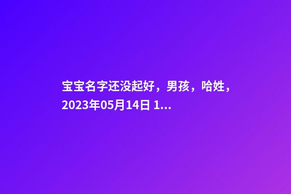 宝宝名字还没起好，男孩，哈姓，2023年05月14日 17点25分要八字